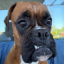 Fofrnik server icon