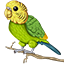 Budgie Network server icon